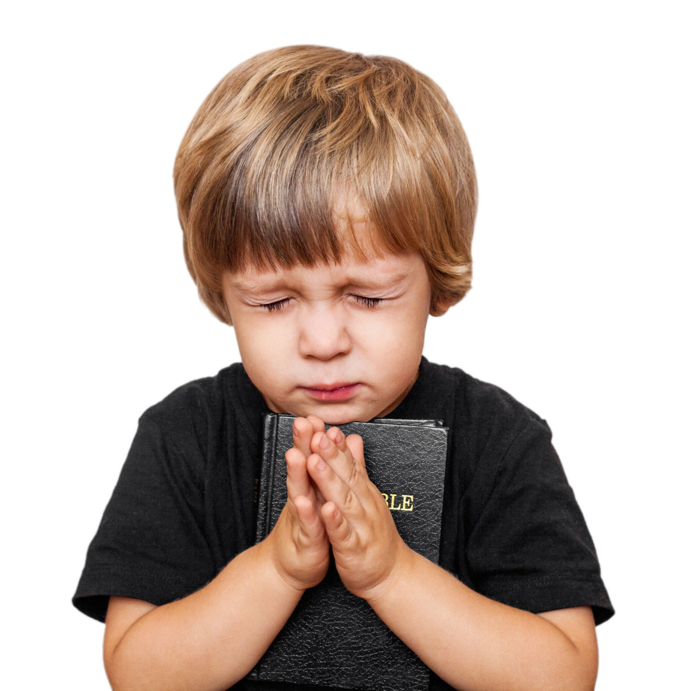 iStock_000022361563Medium